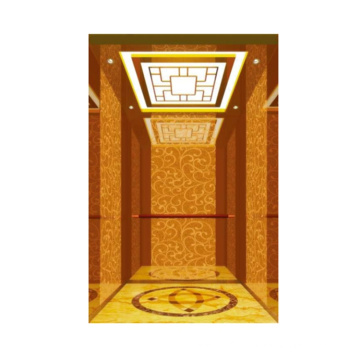 Widely Used Superior Quality Lift Hydraulic Passenger Elevator Price In China